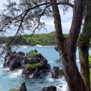 Video by alexacollins published on May 20,2023 22:28:00 - BestThots