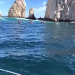Video by alexacollins published on March 24,2023 01:28:00 - BestThots