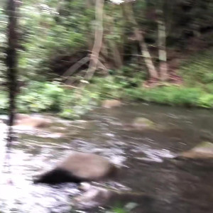 Video by bowdown2chelsea published on March 12,2023 07:02:00 - BestThots