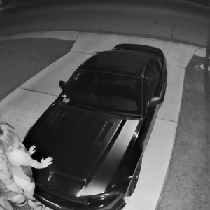 Video by withstand published on July 25,2023 11:41:00 - BestThots