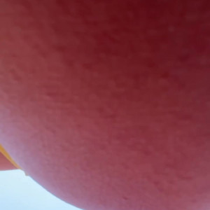 Video by estephania.ha published on April 27,2023 21:46:00 - BestThots