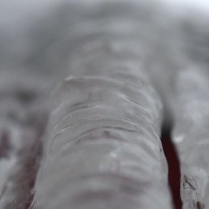 Video by rosamagnoliaxo published on October 16,2023 02:53:34 - BestThots