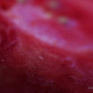 Video by rosamagnoliaxo published on October 16,2023 03:03:46 - BestThots