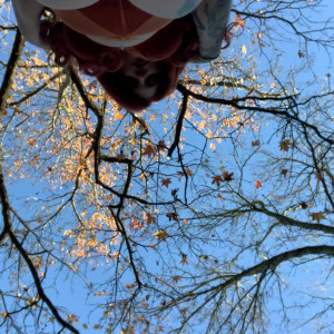 Video by rosamagnoliaxo published on October 16,2023 03:10:45 - BestThots