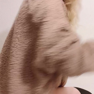 Video by bitacora published on August 1,2023 02:28:00 - BestThots