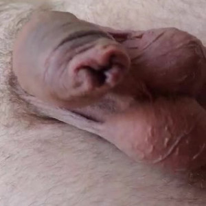 Video by uncut88888 published on June 4,2023 10:37:00 - BestThots