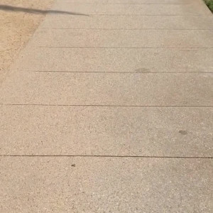 Video by sundaebunsdae published on March 25,2023 07:31:00 - BestThots