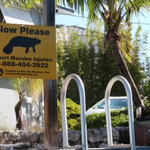 Video by onlyfans published on October 16,2023 03:03:08 - BestThots