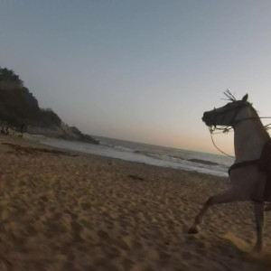 Video by onlyfans published on August 12,2023 03:47:00 - BestThots