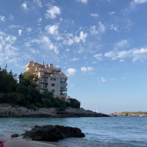 fansladyevansof #5415236