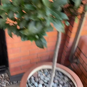 Video by lillieinlove published on August 15,2023 04:19:00 - BestThots