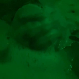 Video by littleamypocket published on July 9,2023 09:16:00 - BestThots