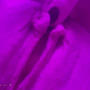 Video by littleamypocket published on June 15,2023 22:43:00 - BestThots