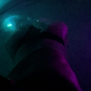 Video by littleamypocket published on August 20,2023 09:34:00 - BestThots