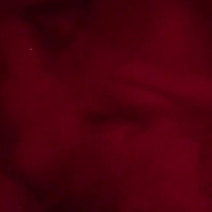Video by littleamypocket published on April 17,2023 17:26:00 - BestThots