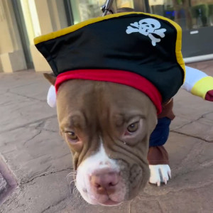 Video by ohitsemmarose published on October 16,2023 03:21:03 - BestThots