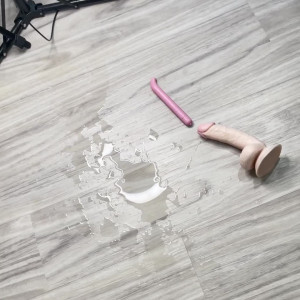 reneegracie #4229553