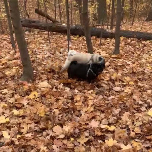 Video by maditown published on April 10,2023 08:49:00 - BestThots