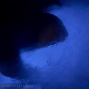 Video by rileslit published on July 2,2023 20:15:00 - BestThots