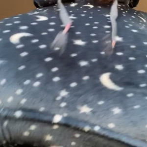 Video by rileslit published on April 25,2023 13:19:00 - BestThots