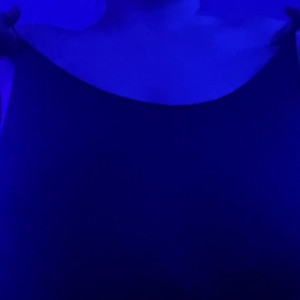 Video by rileslit published on June 17,2023 15:34:00 - BestThots