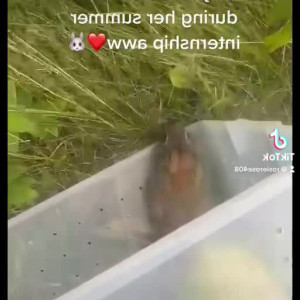 Video by lilrosiedoll published on April 14,2023 09:15:00 - BestThots