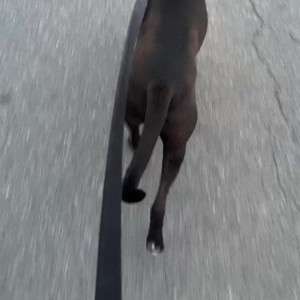 Video by lilrosiedoll published on April 14,2023 07:19:00 - BestThots
