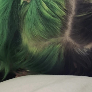 Video by gwy_ther published on July 5,2023 18:05:00 - BestThots