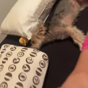 Video by ariana89 published on May 18,2023 08:21:00 - BestThots