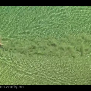 Video by leobear published on August 3,2023 08:36:00 - BestThots