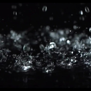 Video by leobear published on April 20,2023 05:37:00 - BestThots