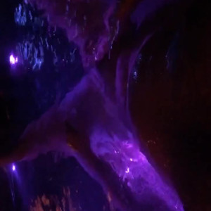 Video by leobear published on April 14,2023 03:23:00 - BestThots