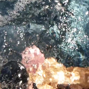 Video by leobear published on March 8,2023 08:41:00 - BestThots