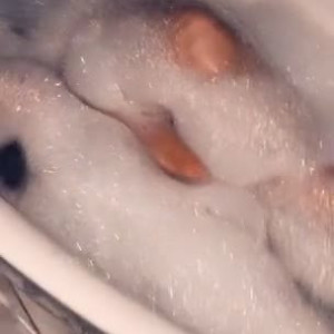 Video by sammyy02kvip published on August 25,2023 13:00:00 - BestThots