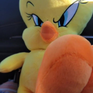 Video by abigaiilmorris published on October 16,2023 04:26:00 - BestThots