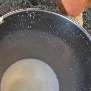 Video by adr3y_ published on May 14,2023 21:05:00 - BestThots