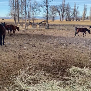 Video by adr3y_ published on June 23,2023 04:24:00 - BestThots