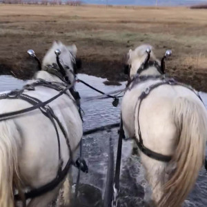 Video by adr3y_ published on March 7,2023 23:40:00 - BestThots