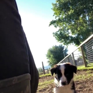 Video by adr3y_ published on July 5,2023 00:08:00 - BestThots