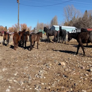 Video by adr3y_ published on March 16,2023 10:30:00 - BestThots