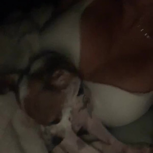 Video by doingthemostluce published on June 18,2023 22:56:00 - BestThots
