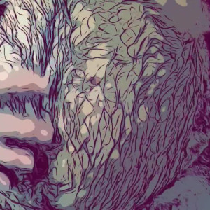 Video by eyesup305 published on April 7,2023 13:30:00 - BestThots