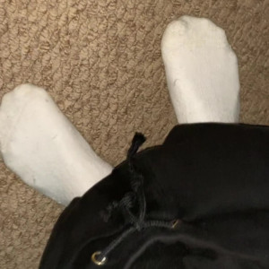 Video by masteruk published on March 13,2023 09:38:00 - BestThots