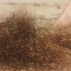 longhairedlovely #4746265