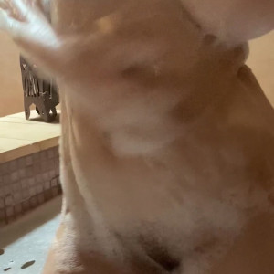 Video by gringagirlxx published on April 29,2023 11:28:00 - BestThots