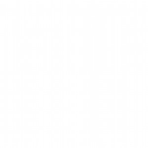 alurajenson2011 #8424910