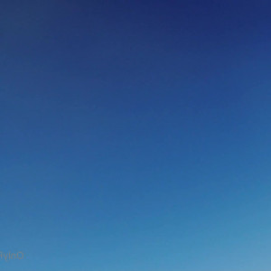Video by tori212green published on April 21,2023 01:29:00 - BestThots