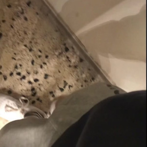 Video by sebastiancoxxx published on June 21,2023 13:44:00 - BestThots