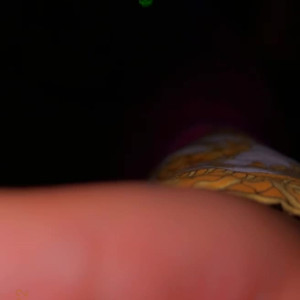 Video by luxuriouslarue published on October 16,2023 07:02:14 - BestThots