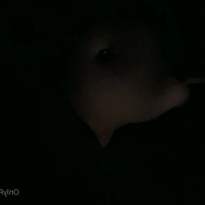 Video by onlyfanswmadi published on June 13,2023 19:48:00 - BestThots